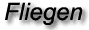 Fliegen